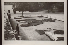 Campo de concentración de San Pedro de Cardeña (1938)